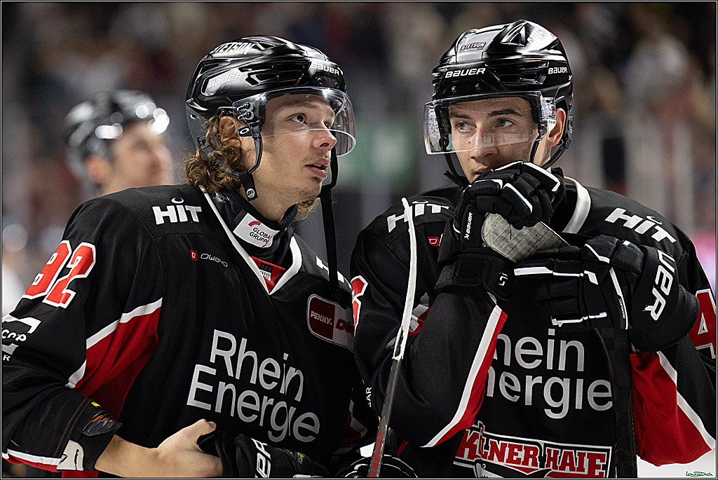 PENNY DEL; Koelner Haie-Duesseldorfer EG; Koeln, 24.11.2024