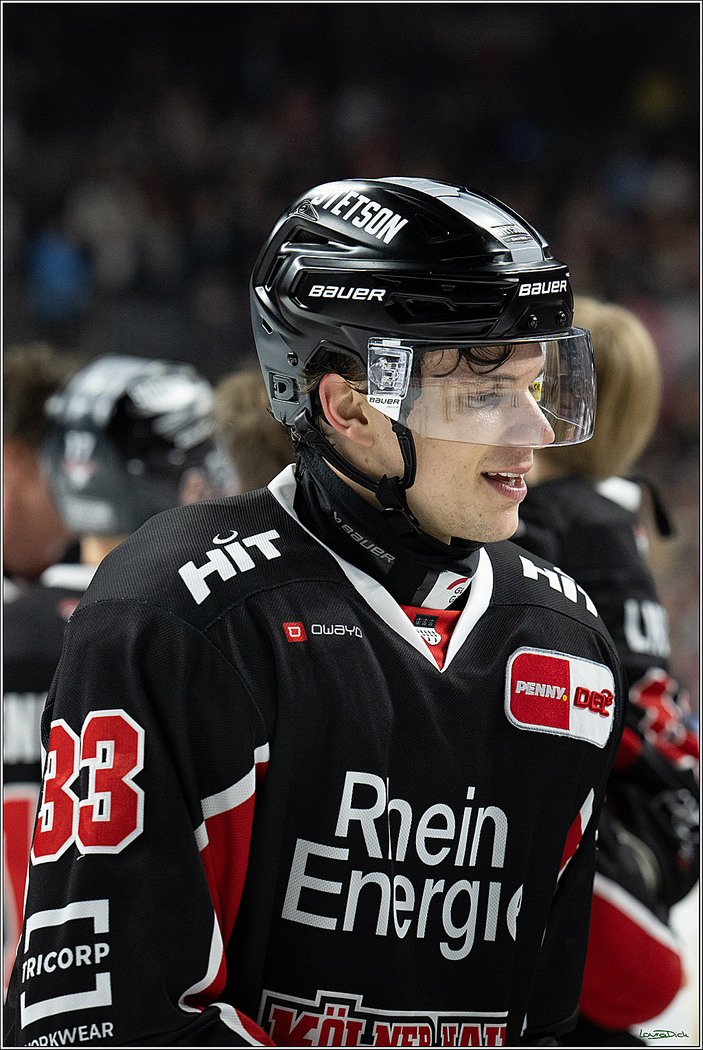 PENNY DEL; Koelner Haie-Duesseldorfer EG; Koeln, 24.11.2024