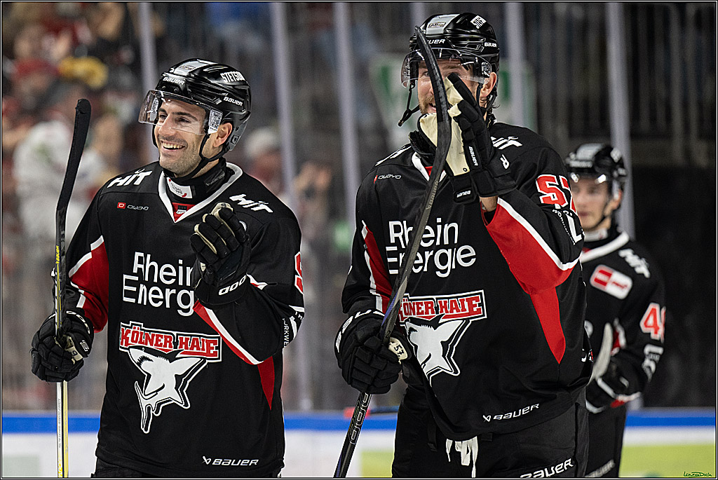PENNY DEL; Koelner Haie-Duesseldorfer EG; Koeln, 24.11.2024