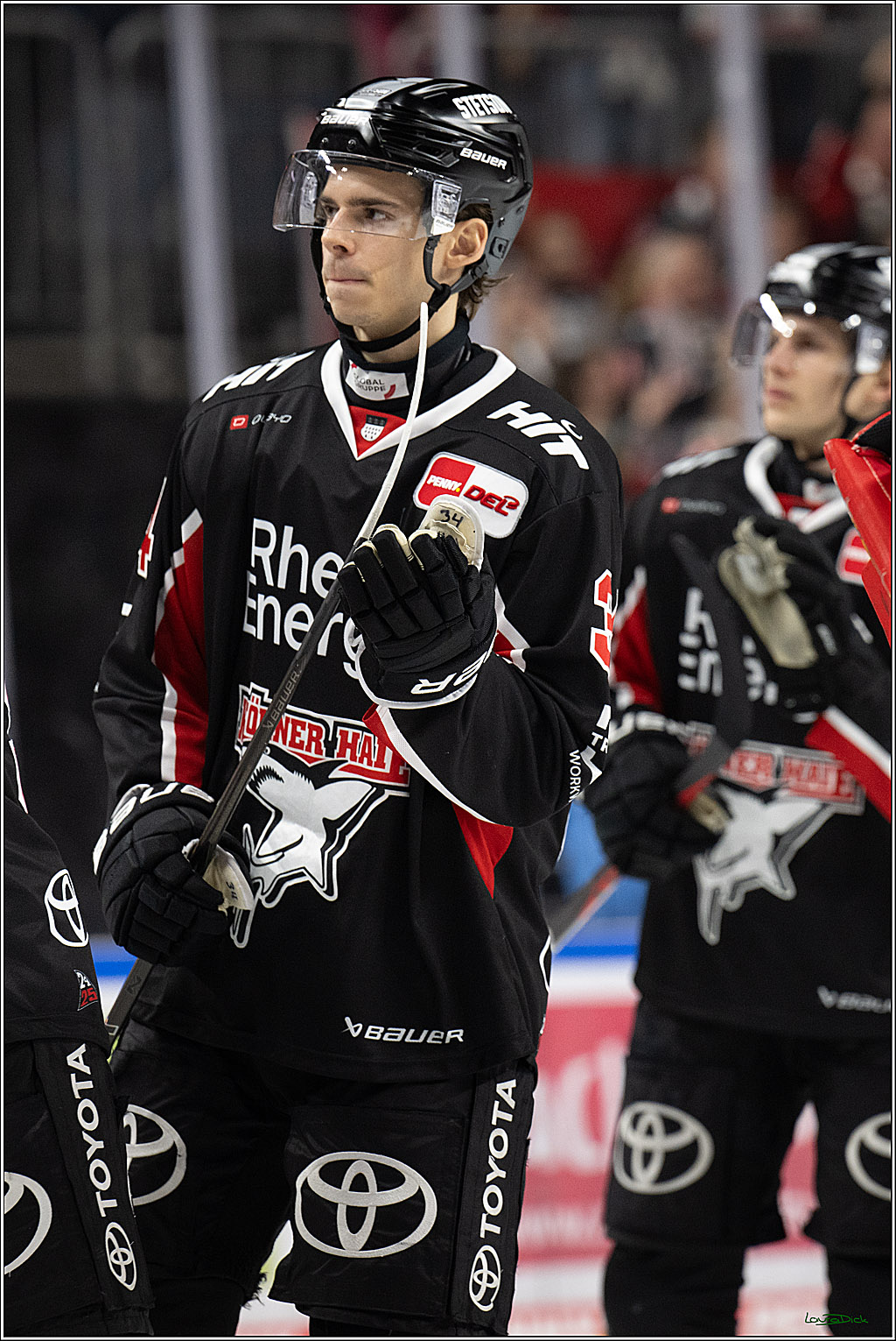 PENNY DEL; Koelner Haie-Duesseldorfer EG; Koeln, 24.11.2024