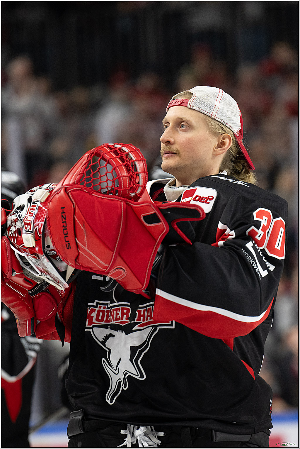 PENNY DEL; Koelner Haie-Duesseldorfer EG; Koeln, 24.11.2024