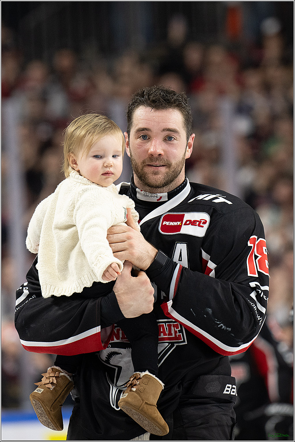 PENNY DEL; Koelner Haie-Duesseldorfer EG; Koeln, 24.11.2024