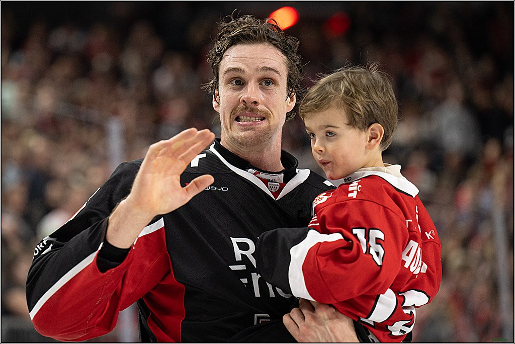 PENNY DEL; Koelner Haie-Duesseldorfer EG; Koeln, 24.11.2024