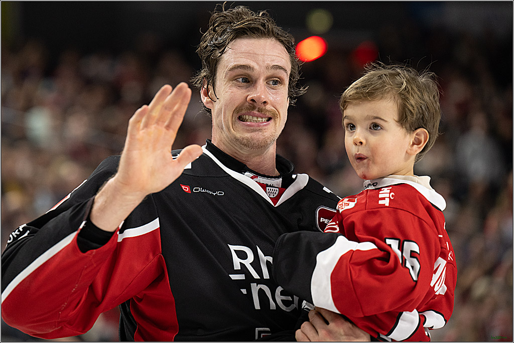 PENNY DEL; Koelner Haie-Duesseldorfer EG; Koeln, 24.11.2024