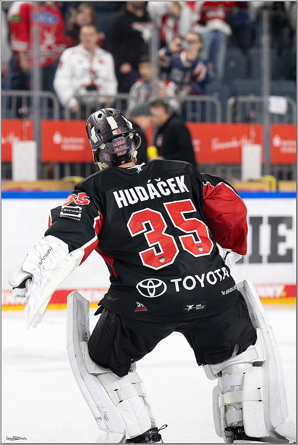 PENNY DEL; Koelner Haie-Duesseldorfer EG; Koeln, 24.11.2024