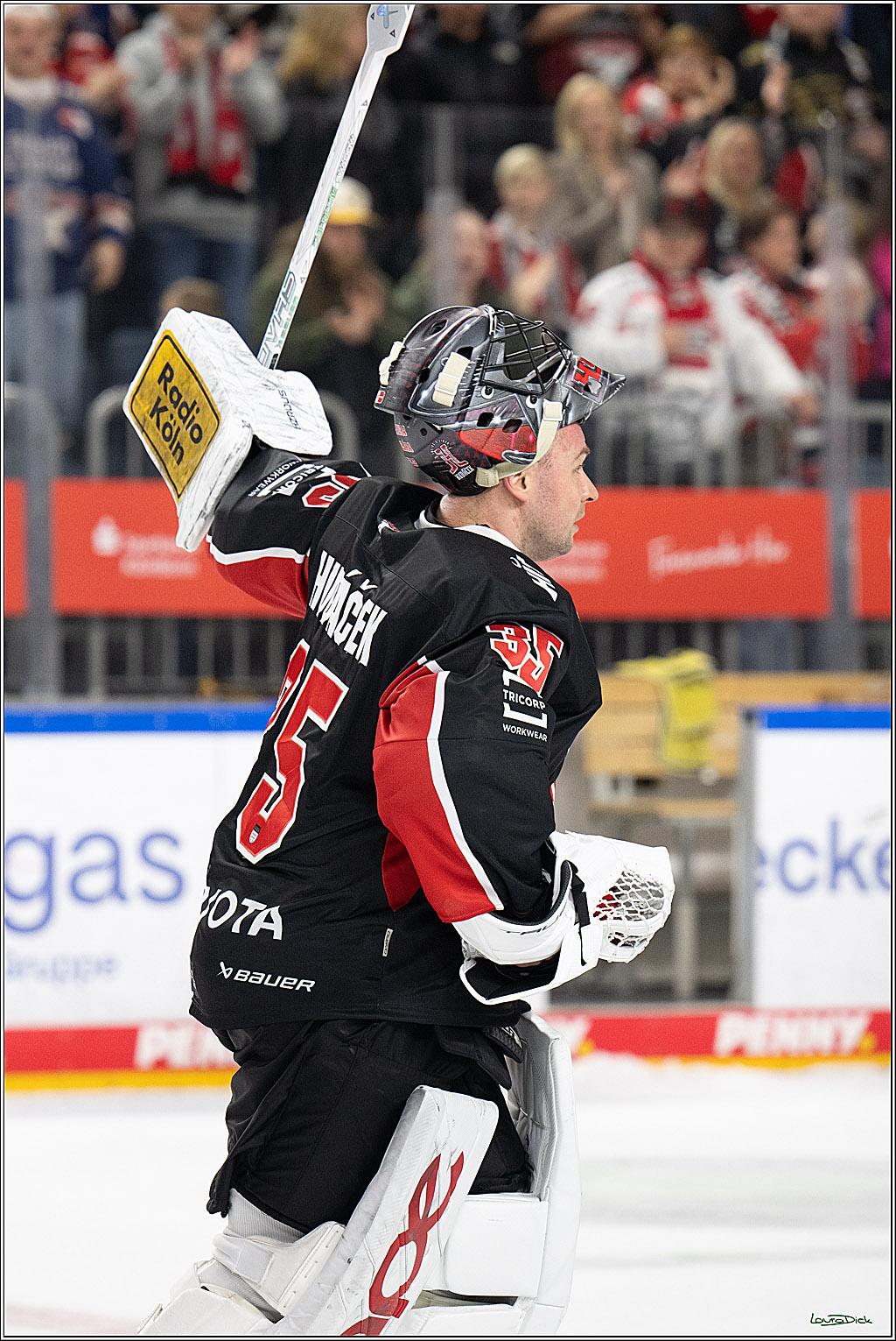 PENNY DEL; Koelner Haie-Duesseldorfer EG; Koeln, 24.11.2024