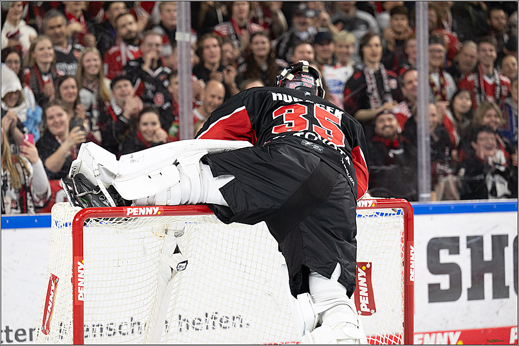 PENNY DEL; Koelner Haie-Duesseldorfer EG; Koeln, 24.11.2024
