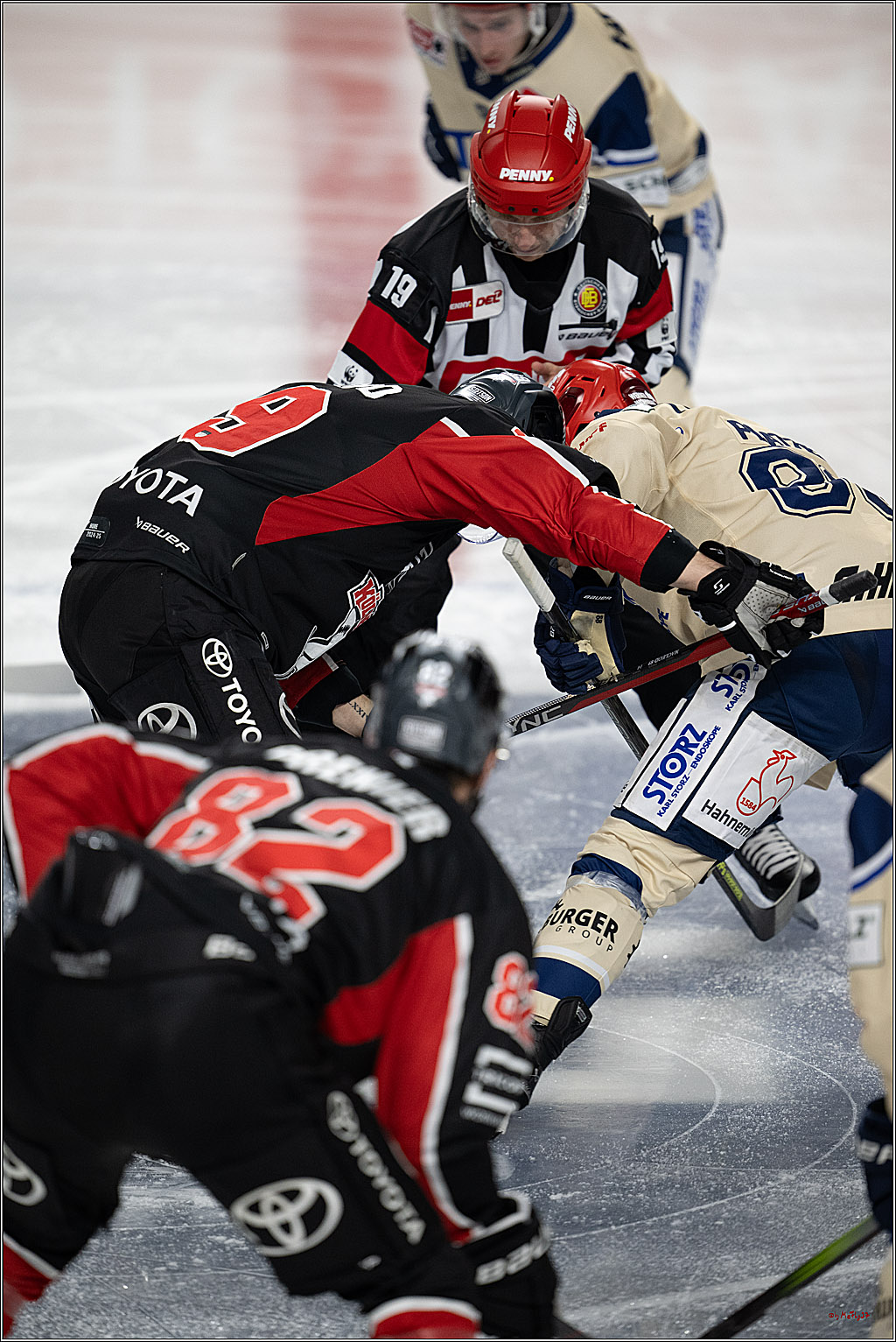 PENNY DEL 1; Kölner Haie - Schwenninger Wild Wings; Köln, 01.12.2024