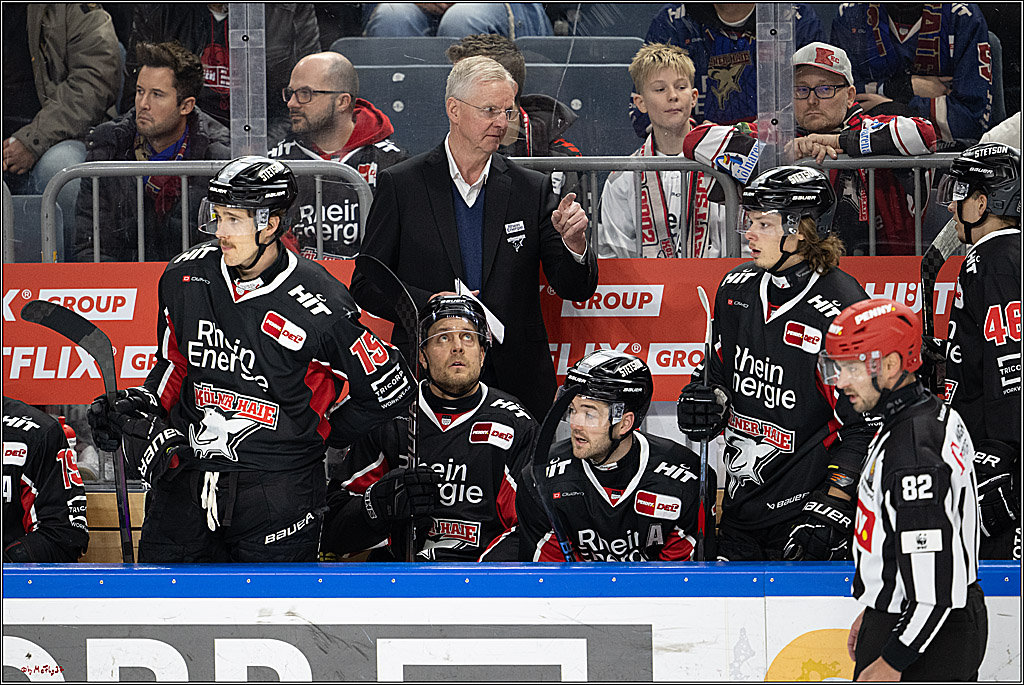 PENNY DEL 1; Kölner Haie - Schwenninger Wild Wings; Köln, 01.12.2024
