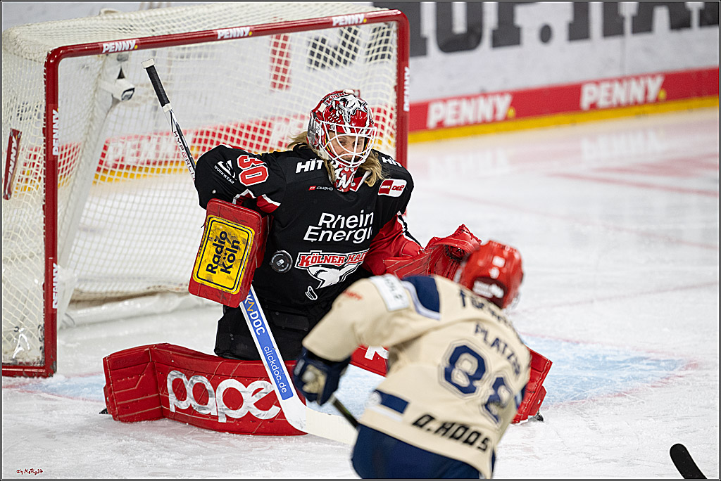 PENNY DEL 1; Kölner Haie - Schwenninger Wild Wings; Köln, 01.12.2024