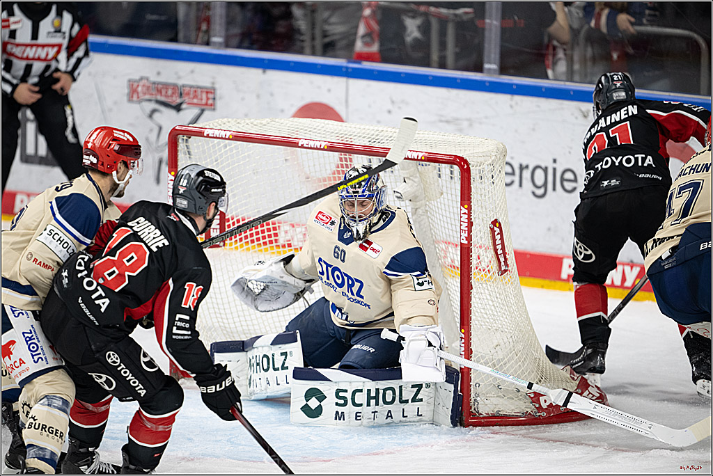 PENNY DEL 1; Kölner Haie - Schwenninger Wild Wings; Köln, 01.12.2024