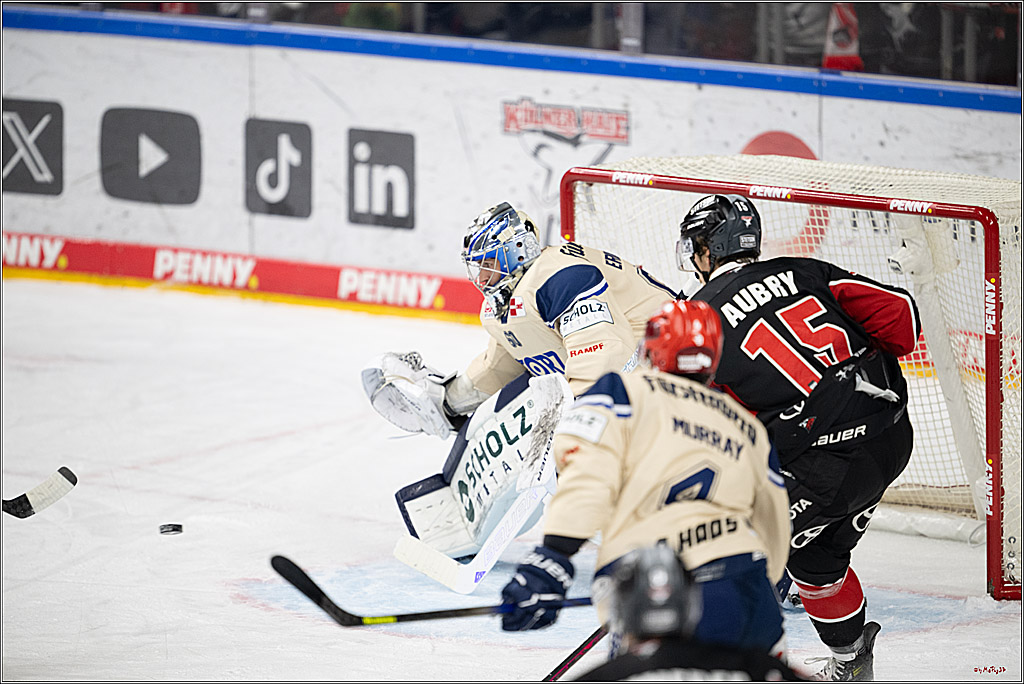 PENNY DEL 1; Kölner Haie - Schwenninger Wild Wings; Köln, 01.12.2024