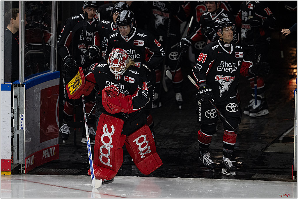 PENNY DEL 1; Kölner Haie - Schwenninger Wild Wings; Köln, 01.12.2024