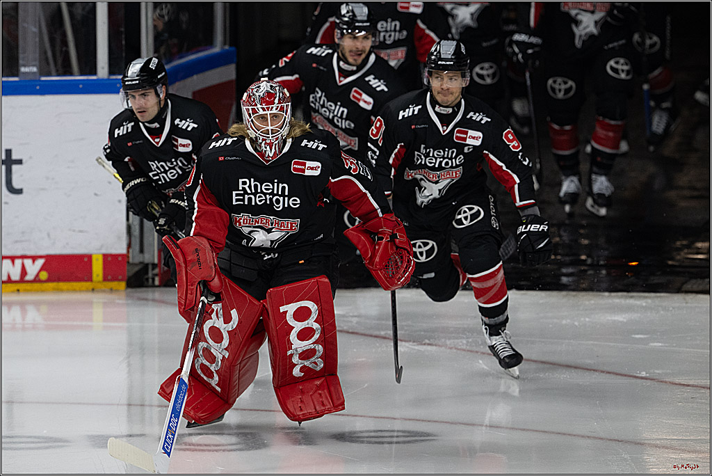 PENNY DEL 1; Kölner Haie - Schwenninger Wild Wings; Köln, 01.12.2024