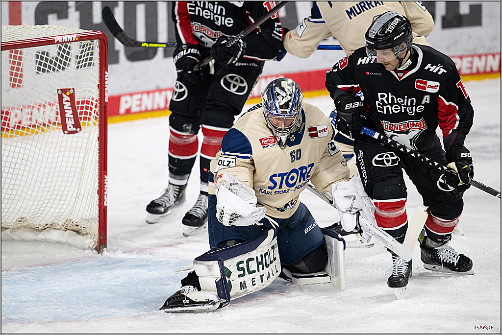 PENNY DEL 1; Kölner Haie - Schwenninger Wild Wings; Köln, 01.12.2024