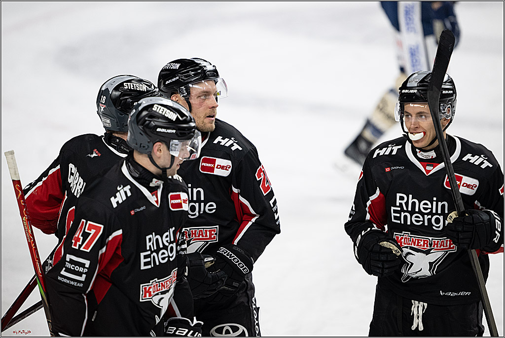PENNY DEL 1; Kölner Haie - Schwenninger Wild Wings; Köln, 01.12.2024