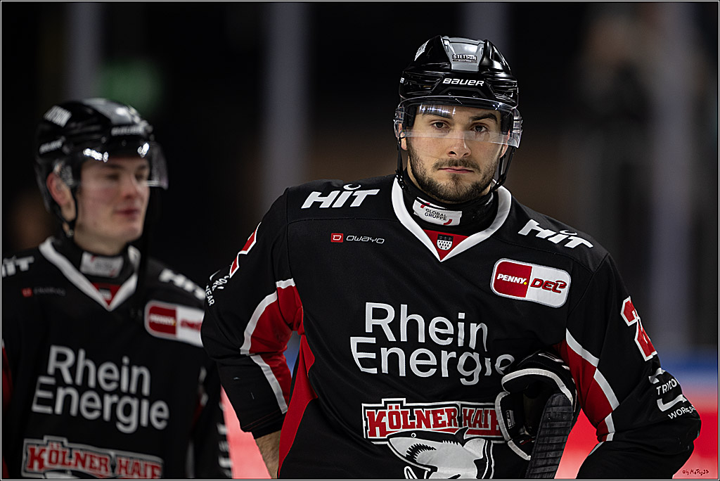 PENNY DEL 1; Kölner Haie - Schwenninger Wild Wings; Köln, 01.12.2024