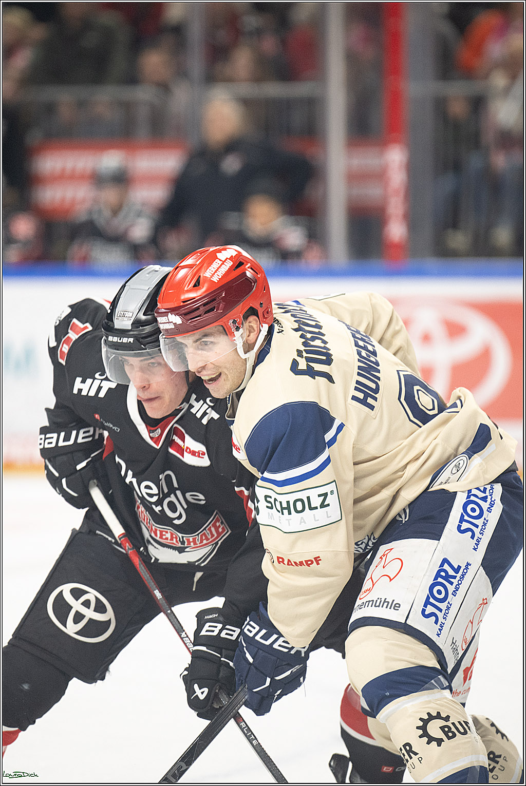 PENNY DEL; Koelner Haie-Schwenninger Wild Wings; Koeln, 01.12.2024