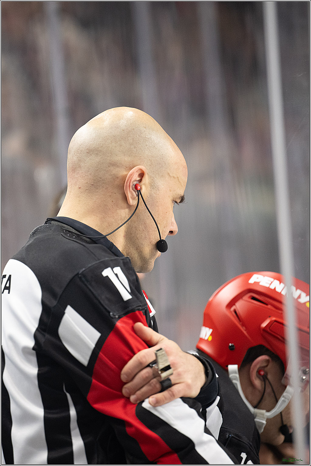 PENNY DEL; Koelner Haie-Schwenninger Wild Wings; Koeln, 01.12.2024