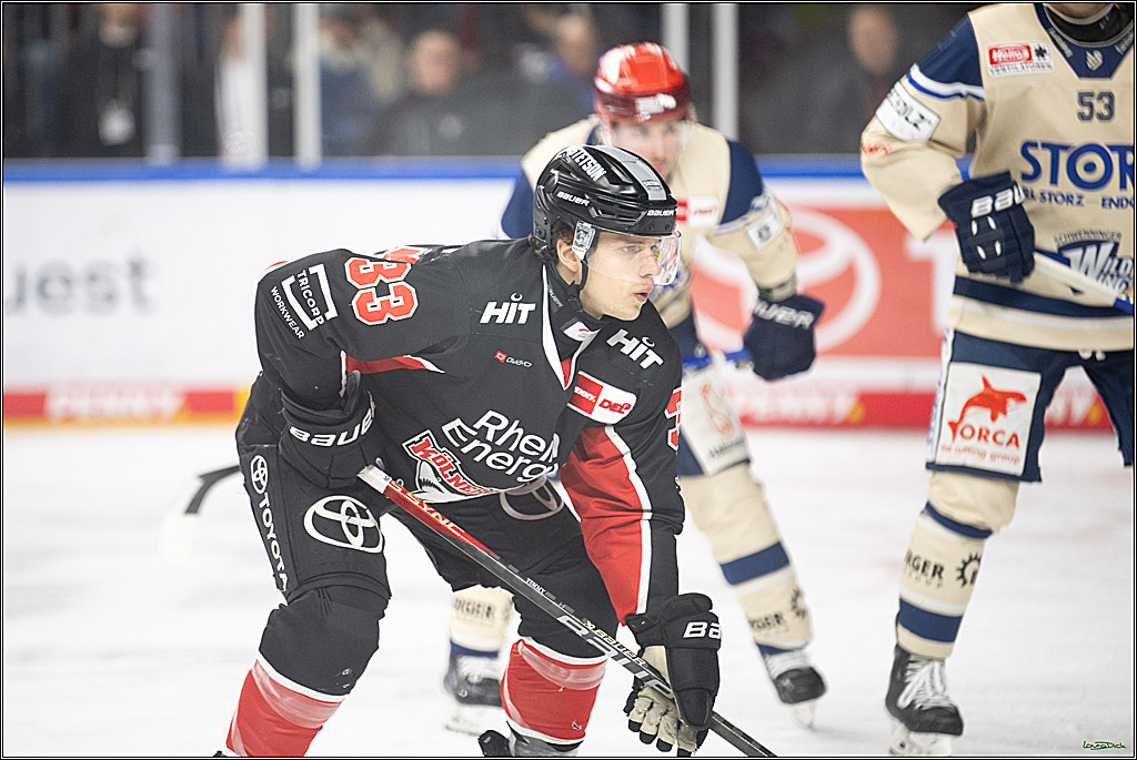 PENNY DEL; Koelner Haie-Schwenninger Wild Wings; Koeln, 01.12.2024