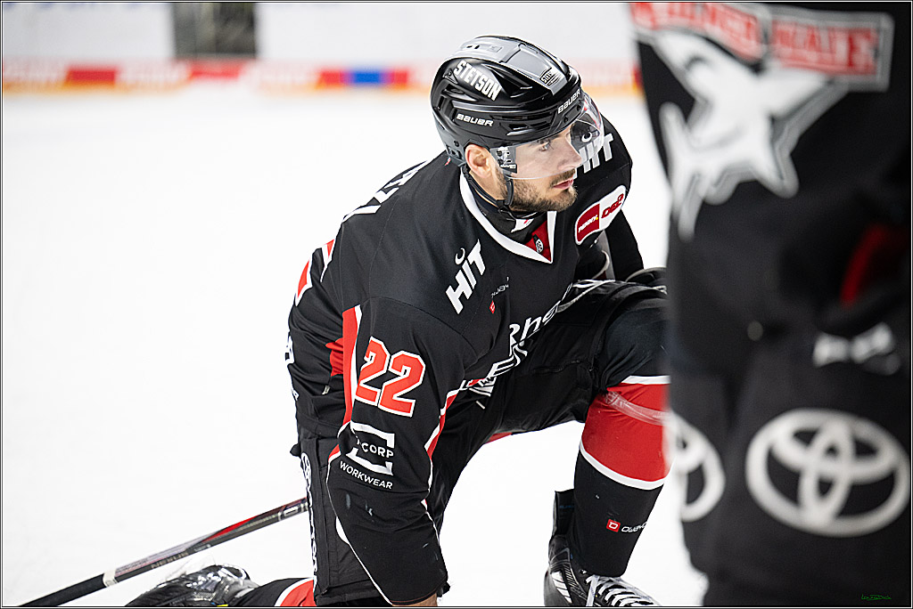 PENNY DEL; Koelner Haie-Schwenninger Wild Wings; Koeln, 01.12.2024