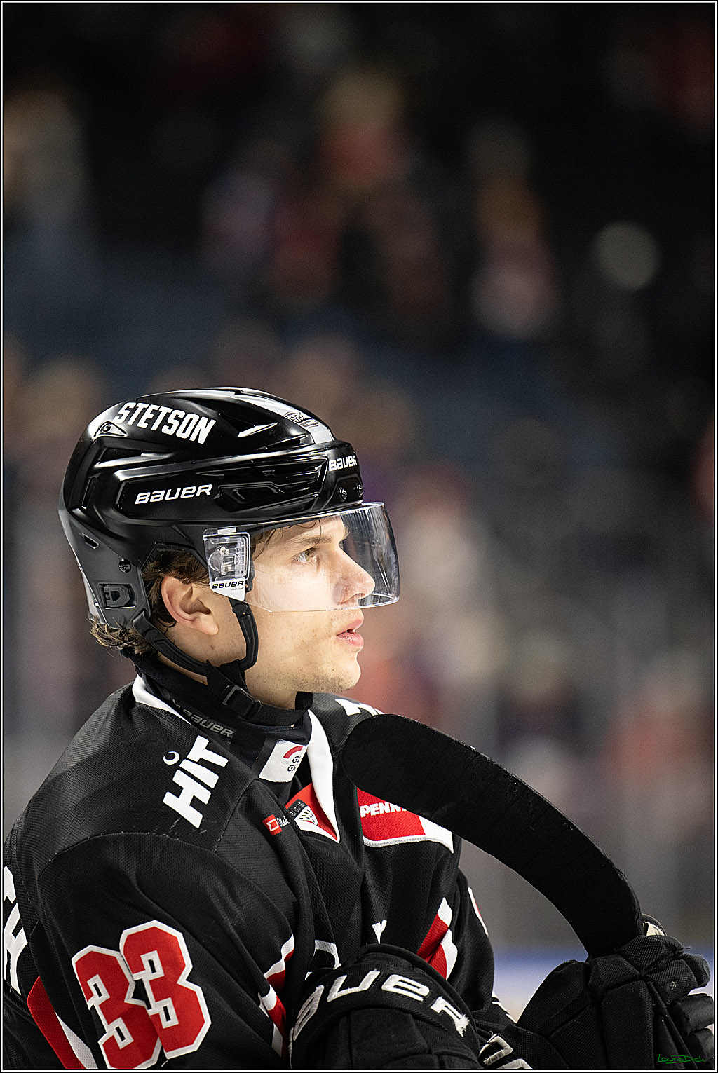 PENNY DEL; Koelner Haie-Schwenninger Wild Wings; Koeln, 01.12.2024