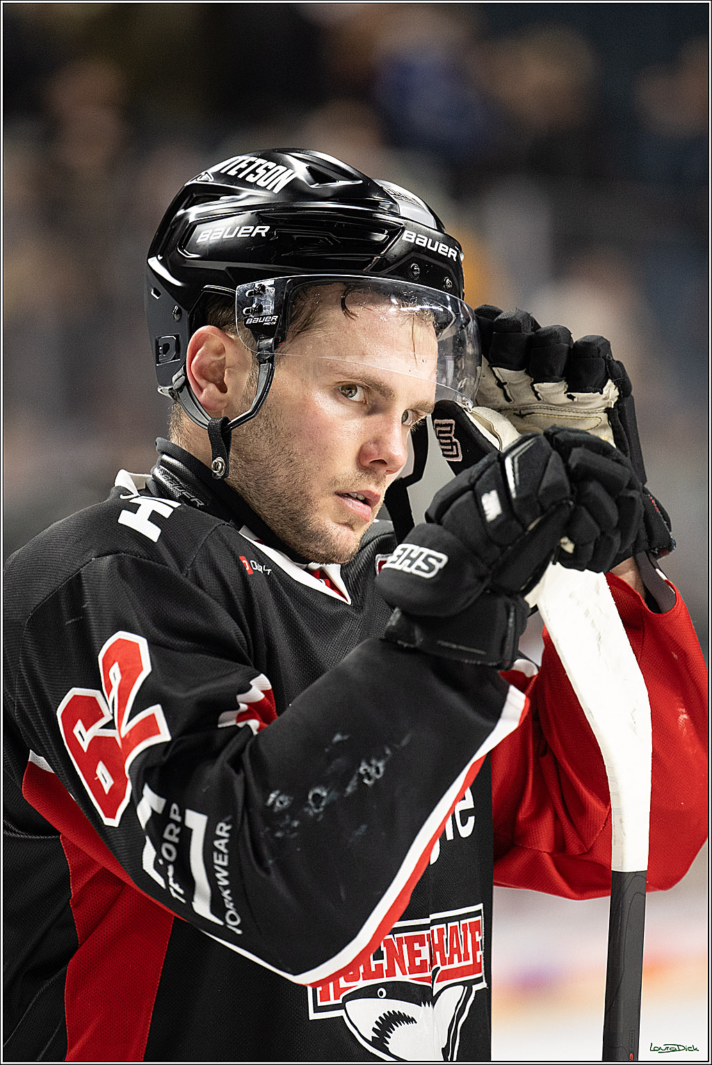 PENNY DEL; Koelner Haie-Schwenninger Wild Wings; Koeln, 01.12.2024