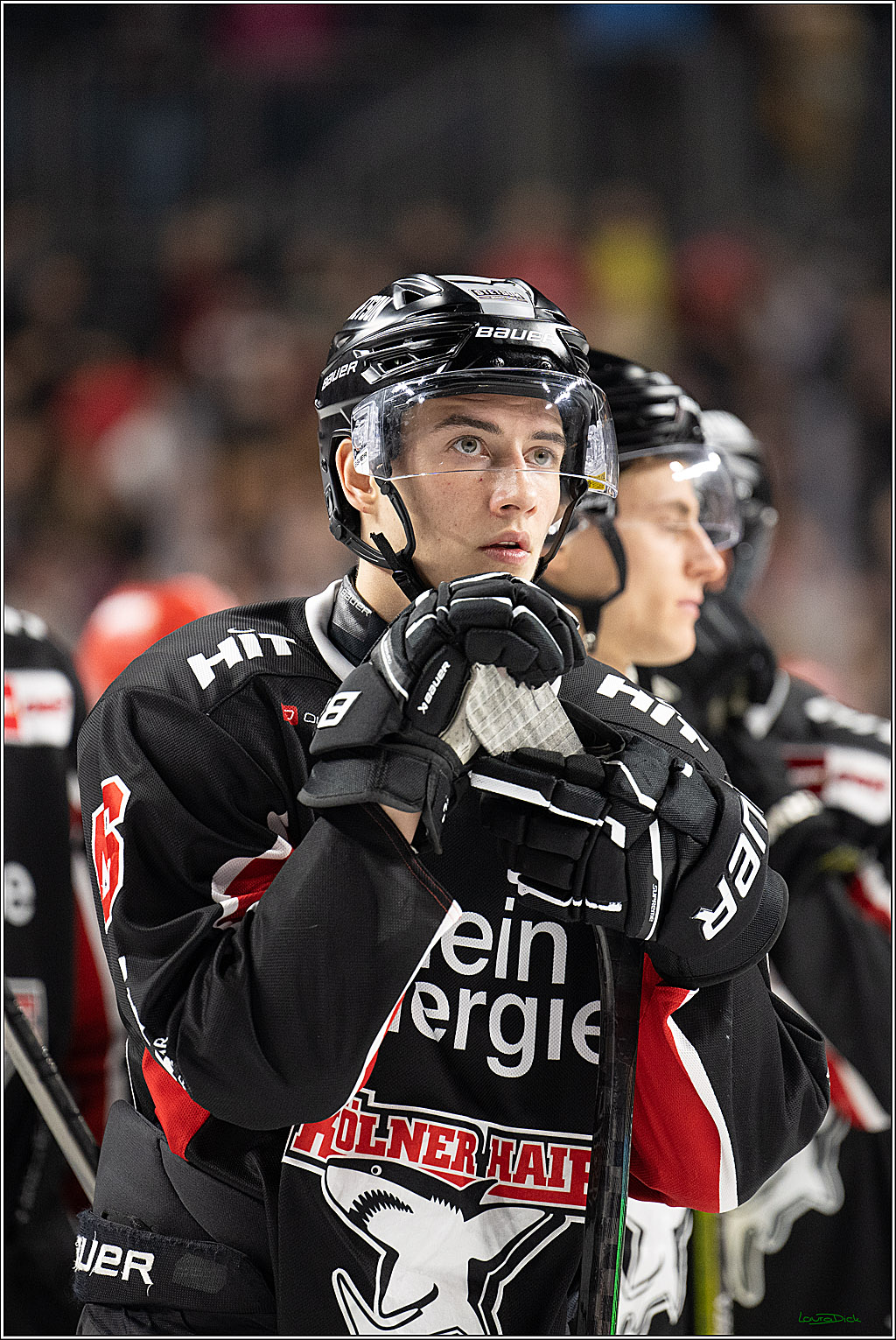 PENNY DEL; Koelner Haie-Schwenninger Wild Wings; Koeln, 01.12.2024