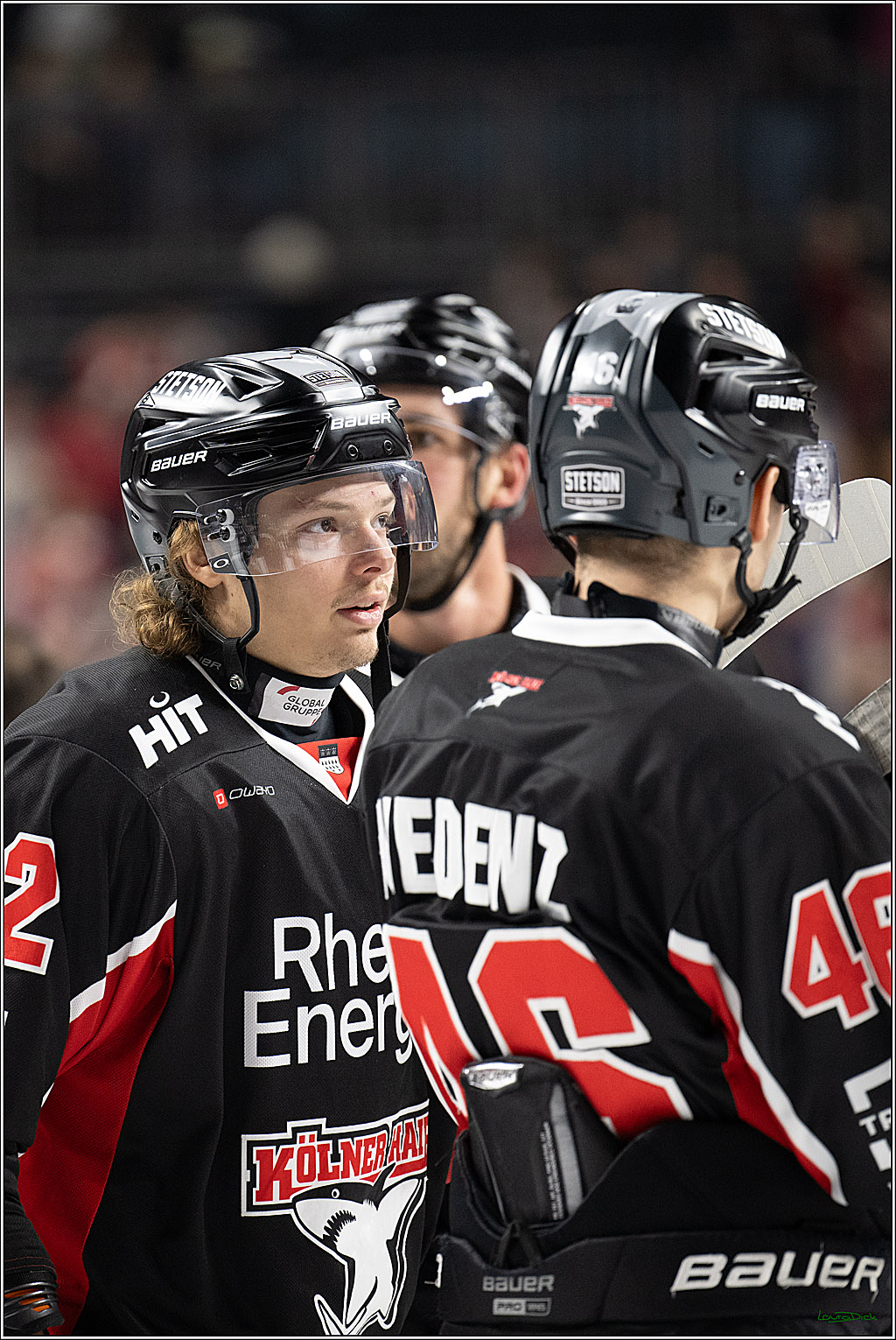 PENNY DEL; Koelner Haie-Schwenninger Wild Wings; Koeln, 01.12.2024
