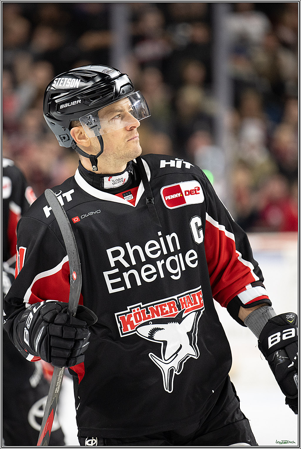 PENNY DEL; Koelner Haie-Schwenninger Wild Wings; Koeln, 01.12.2024