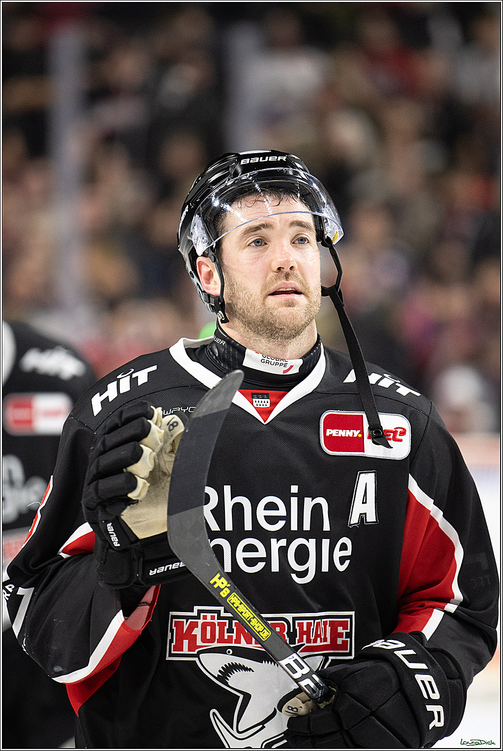 PENNY DEL; Koelner Haie-Schwenninger Wild Wings; Koeln, 01.12.2024