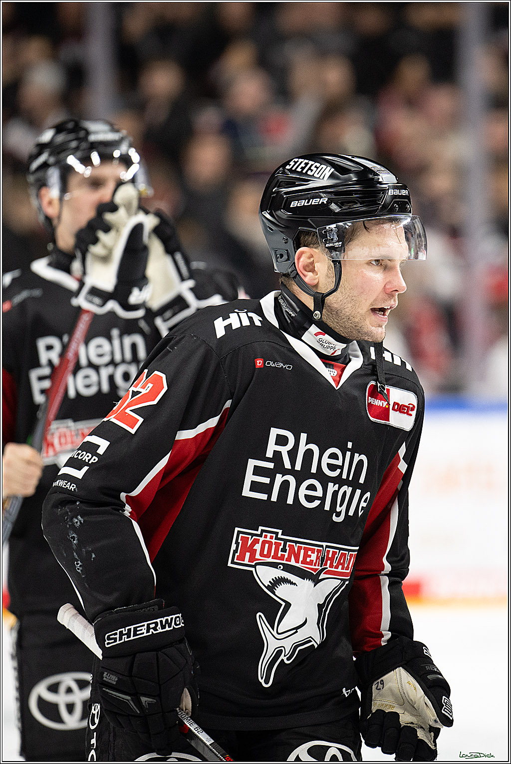 PENNY DEL; Koelner Haie-Schwenninger Wild Wings; Koeln, 01.12.2024