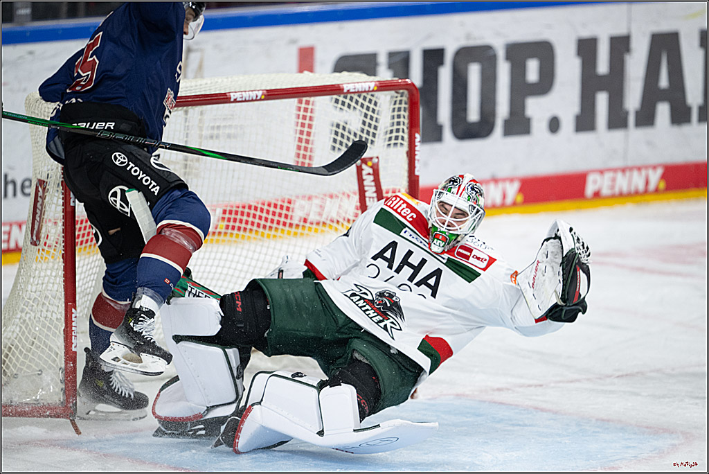 PENNY DEL 1; Kölner Haie - Augsburger Panther; Köln, 08.12.2024