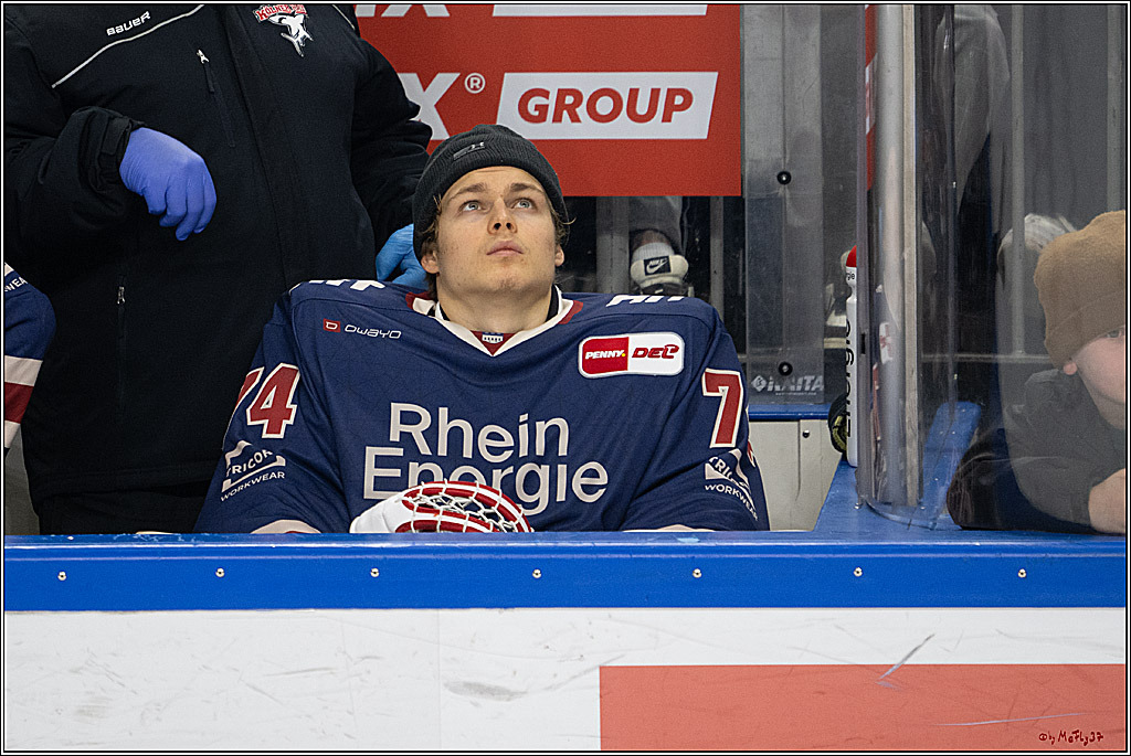 PENNY DEL 1; Kölner Haie - Augsburger Panther; Köln, 08.12.2024