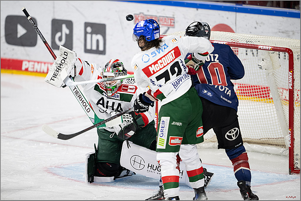 PENNY DEL 1; Kölner Haie - Augsburger Panther; Köln, 08.12.2024
