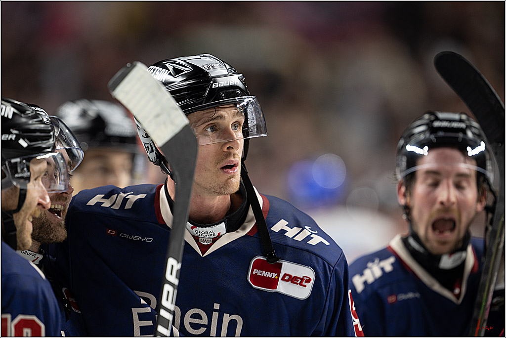 PENNY DEL 1; Kölner Haie - Augsburger Panther; Köln, 08.12.2024