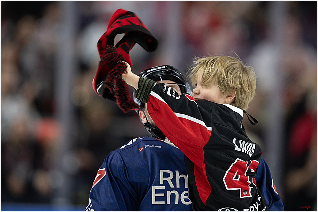 PENNY DEL 1; Kölner Haie - Augsburger Panther; Köln, 08.12.2024