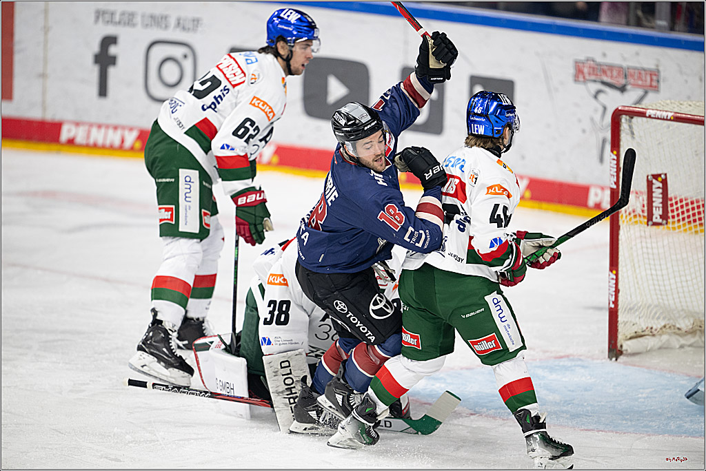 PENNY DEL 1; Kölner Haie - Augsburger Panther; Köln, 08.12.2024