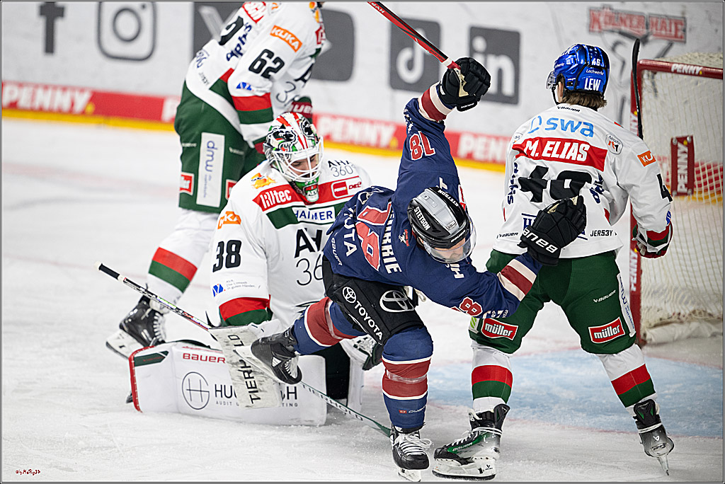 PENNY DEL 1; Kölner Haie - Augsburger Panther; Köln, 08.12.2024