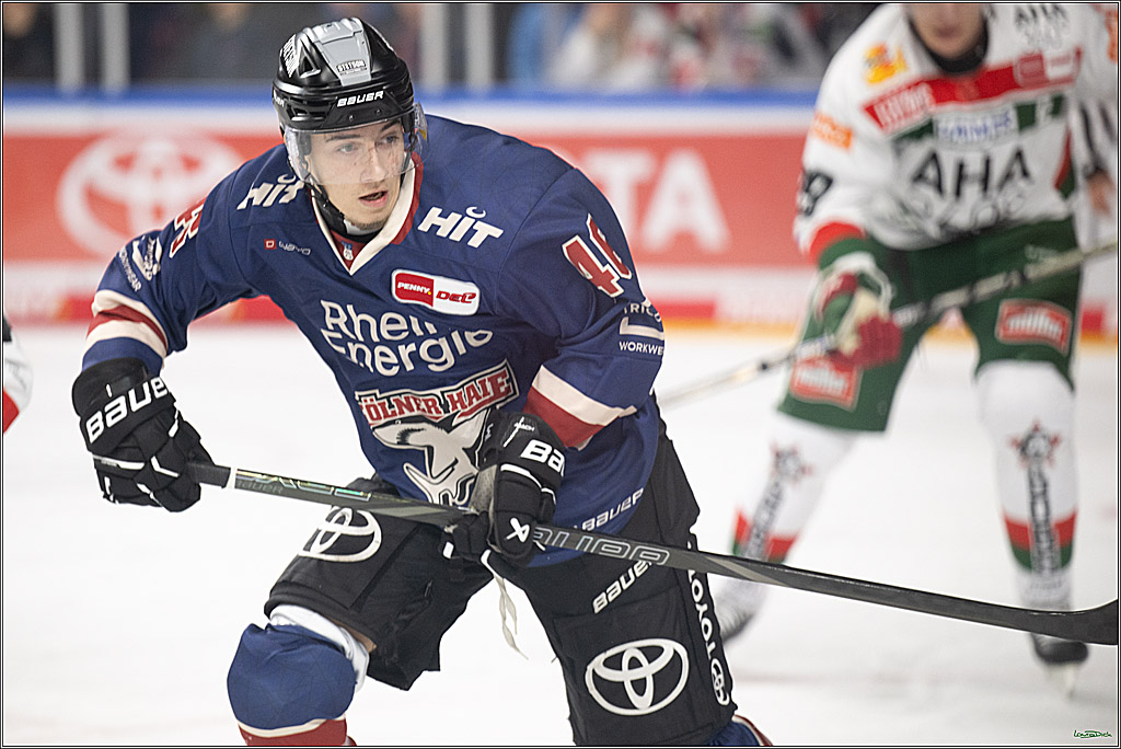 PENNY DEL; Koelner Haie-Augsburger Panther; Koeln, 08.12.2024