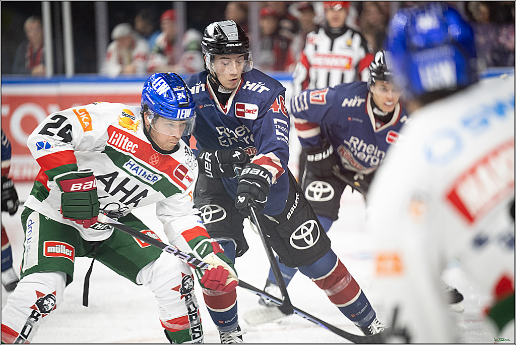 PENNY DEL; Koelner Haie-Augsburger Panther; Koeln, 08.12.2024