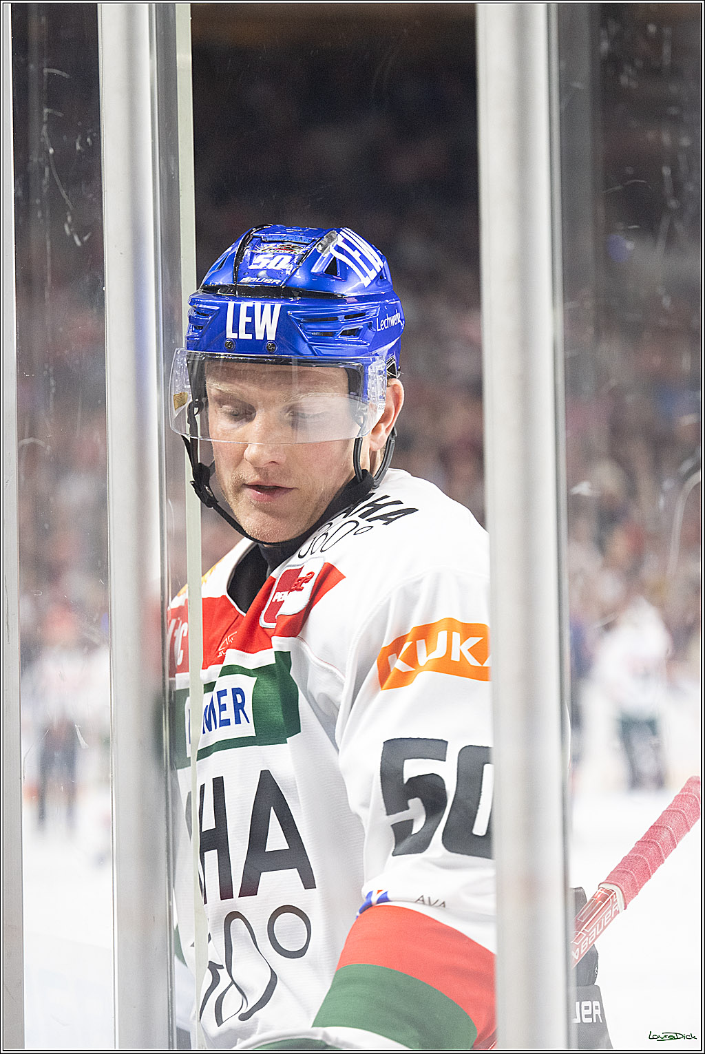 PENNY DEL; Koelner Haie-Augsburger Panther; Koeln, 08.12.2024