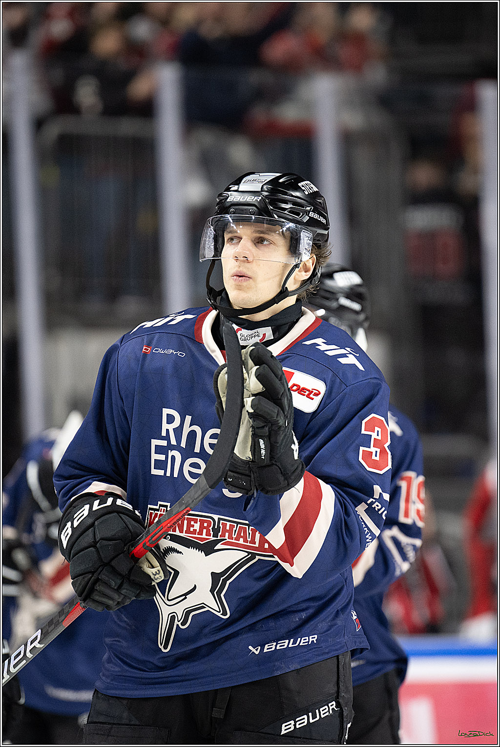 PENNY DEL; Koelner Haie-Augsburger Panther; Koeln, 08.12.2024