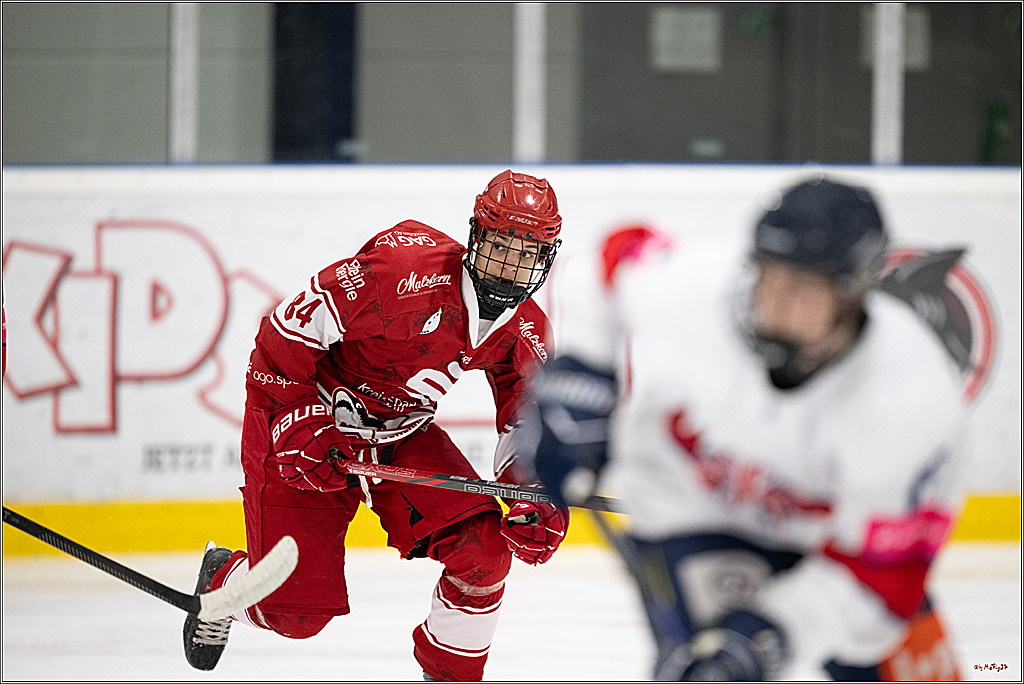 Freundschaftsspiel Junghaie U17 - Nationalmannschaft GRB U18; Köln, 18.12.2024