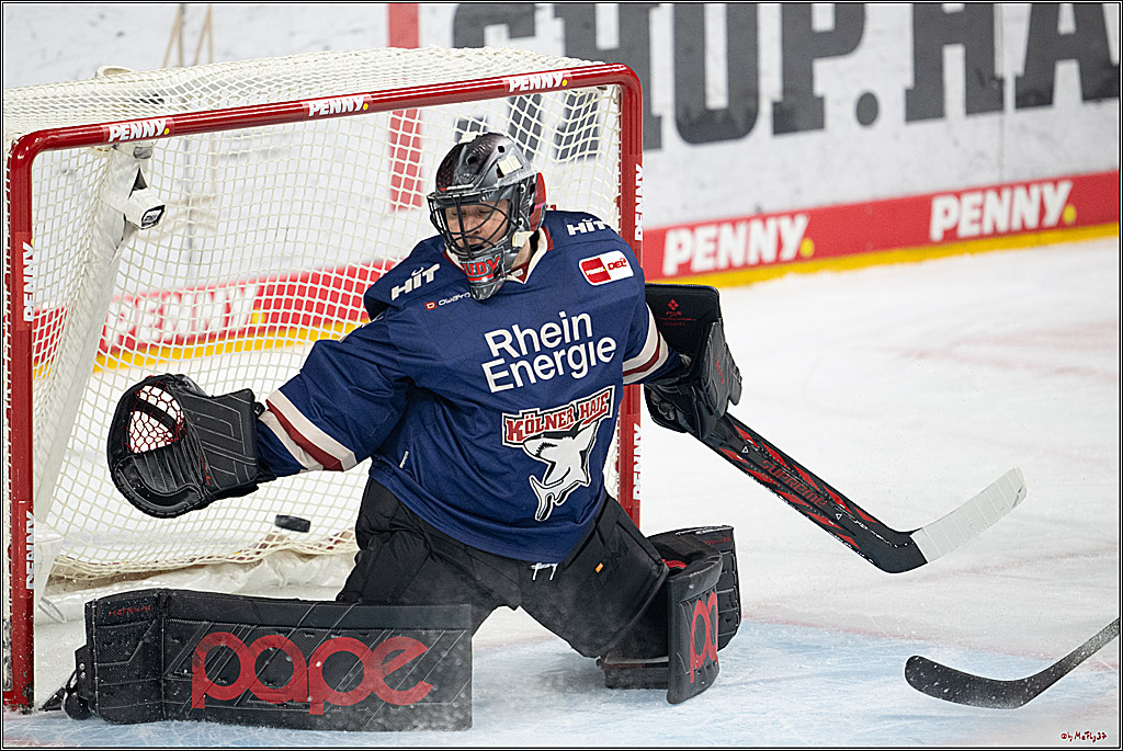 PENNY DEL 1; Kölner Haie - Augsburger Panther; Köln, 05.01.2025