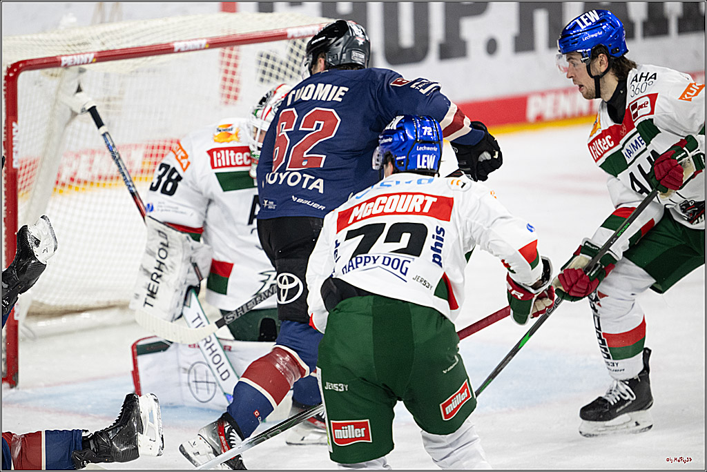 PENNY DEL 1; Kölner Haie - Augsburger Panther; Köln, 05.01.2025
