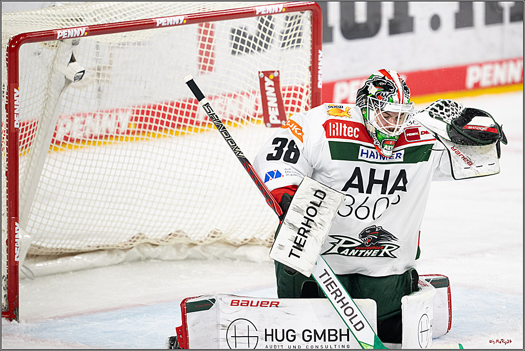 PENNY DEL 1; Kölner Haie - Augsburger Panther; Köln, 05.01.2025