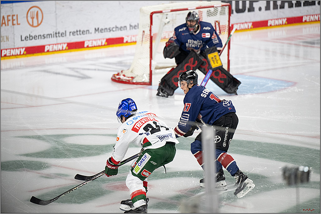 PENNY DEL 1; Kölner Haie - Augsburger Panther; Köln, 05.01.2025