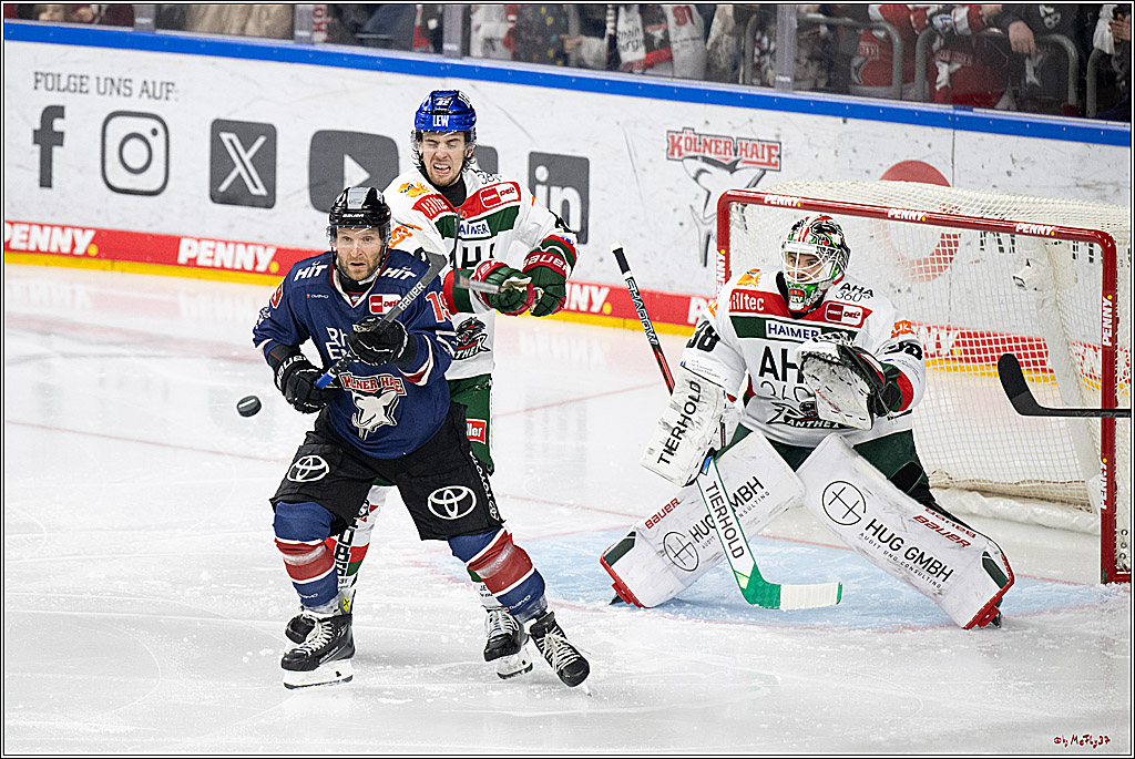 PENNY DEL 1; Kölner Haie - Augsburger Panther; Köln, 05.01.2025