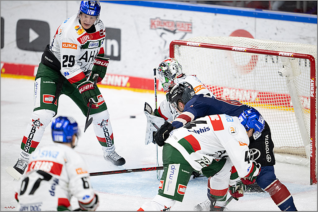 PENNY DEL 1; Kölner Haie - Augsburger Panther; Köln, 05.01.2025